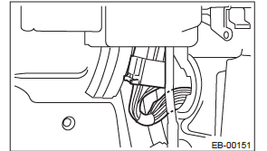 Subaru Outback. Exterior Body Panels