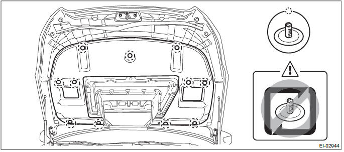 Subaru Outback. Exterior Body Panels