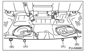 Subaru Outback. Fuel Injection (Fuel Systems)