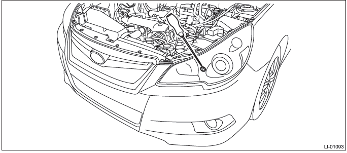 Subaru Outback. Lighting System