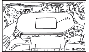 Subaru Outback. Fuel Injection (Fuel Systems)