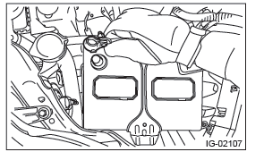 Subaru Outback. Fuel Injection (Fuel Systems)