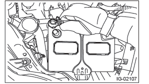 Subaru Outback. Fuel Injection (Fuel Systems)