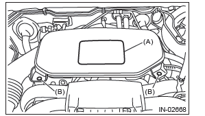 Subaru Outback. Fuel Injection (Fuel Systems)