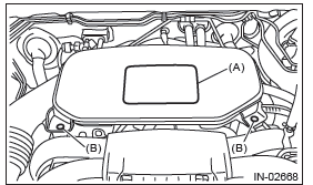 Subaru Outback. Fuel Injection (Fuel Systems)