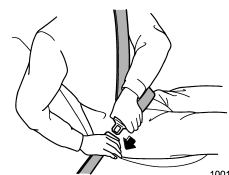 3. Insert the tongue plate into the buckle until you hear a click.